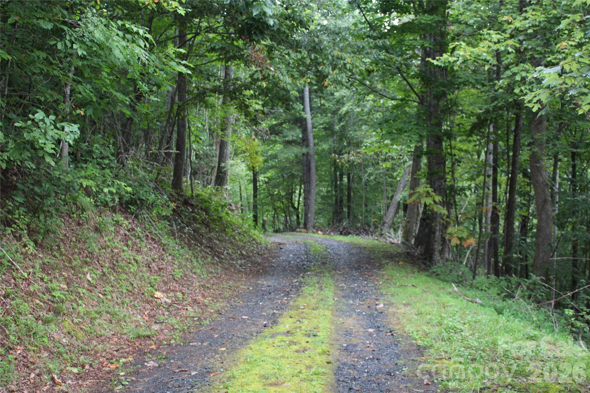 Lot at Lots 8 & 13 Laurel Hill Drive, Spruce Pine, photo 10 of 20