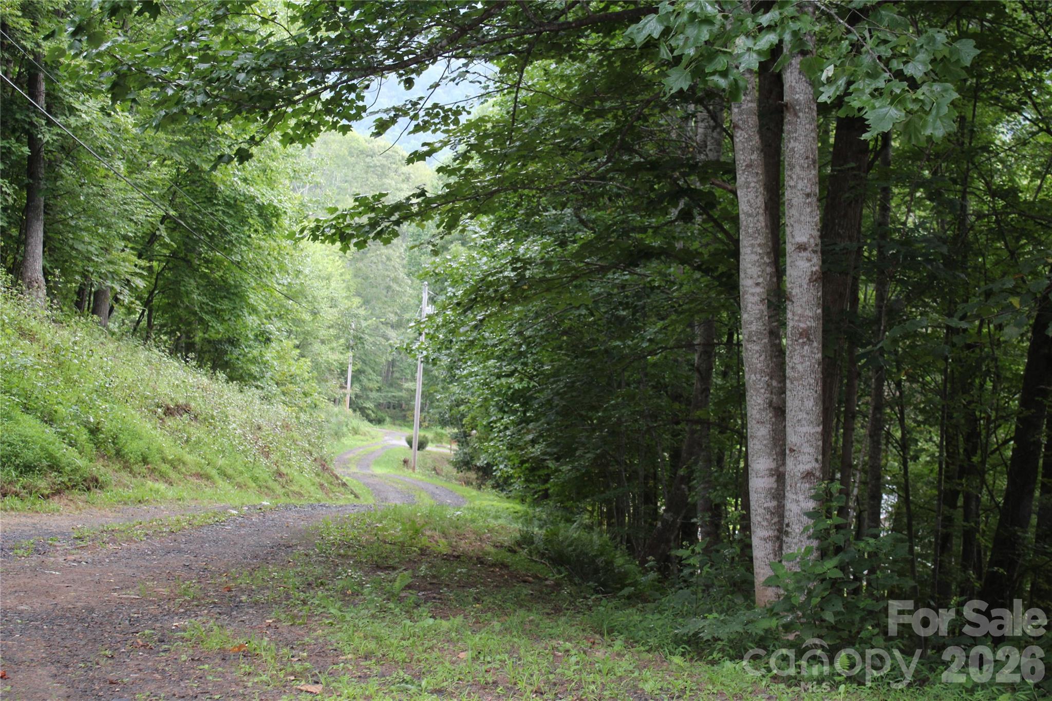 Lot at Lots 8 & 13 Laurel Hill Drive, Spruce Pine, photo 11 of 20
