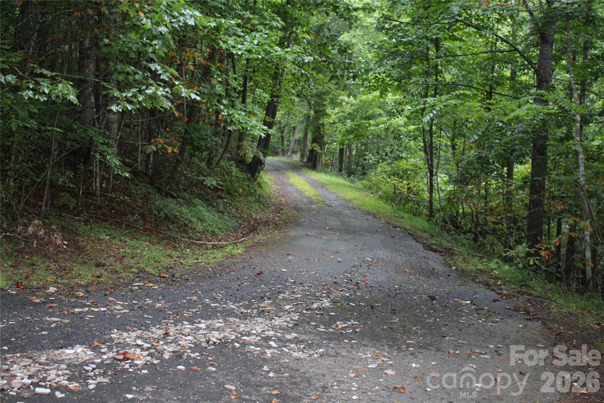 Lot at Lots 8 & 13 Laurel Hill Drive, Spruce Pine, photo 12 of 20