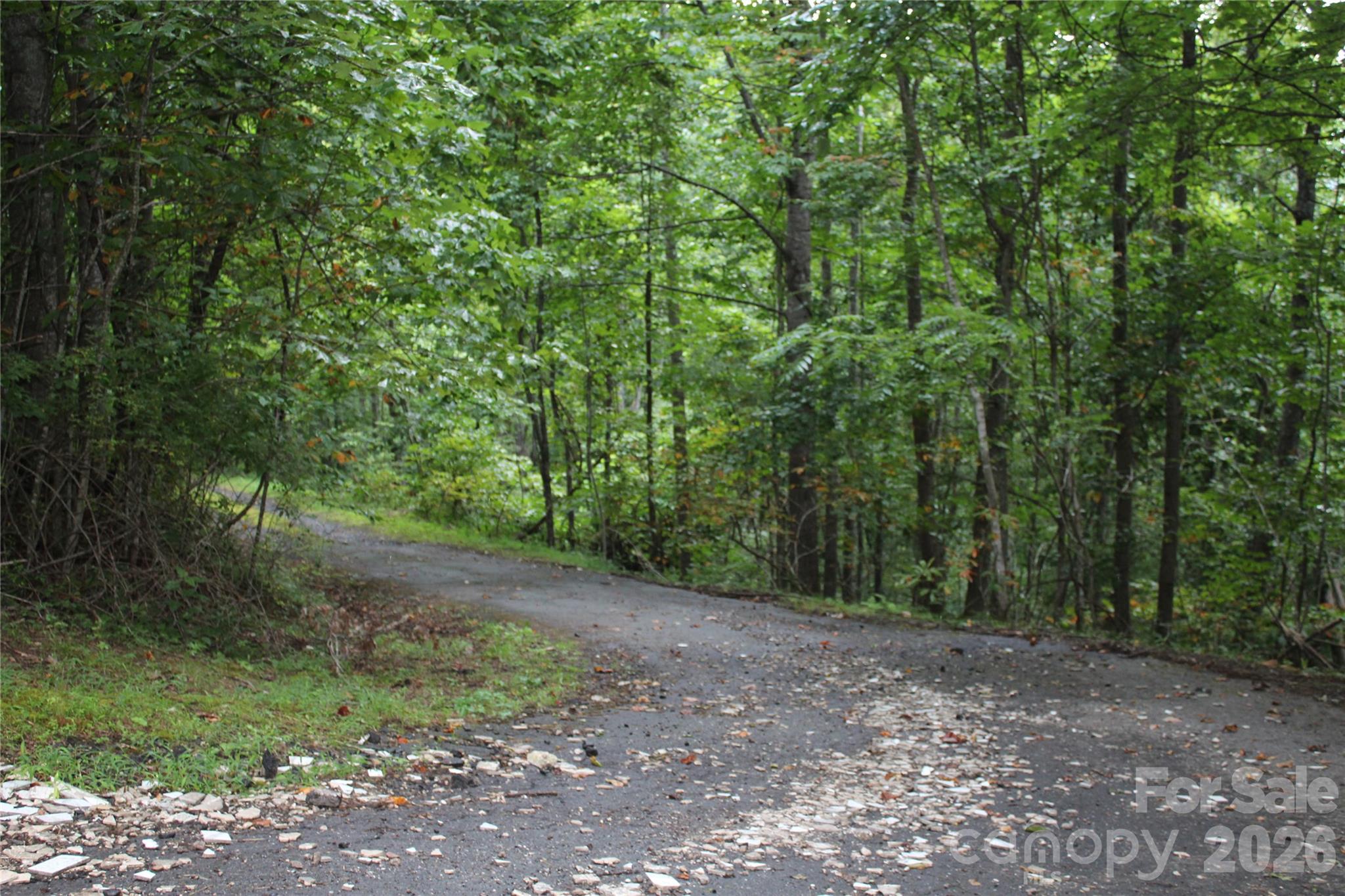 Lot at Lots 8 & 13 Laurel Hill Drive, Spruce Pine, photo 13 of 20