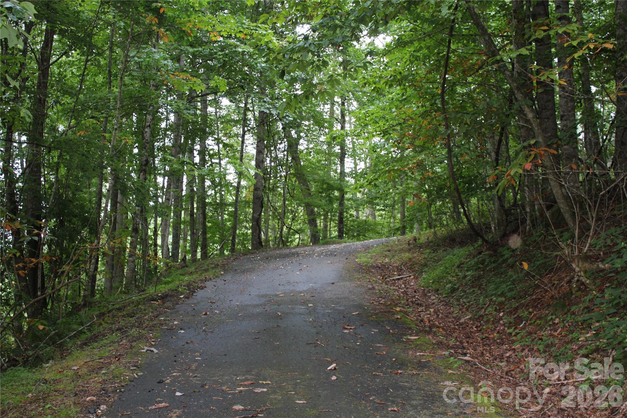 Lot at Lots 8 & 13 Laurel Hill Drive, Spruce Pine, photo 14 of 20