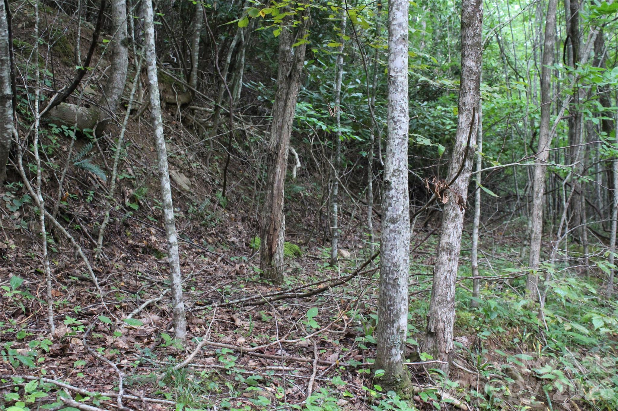 Lot at Lots 8 & 13 Laurel Hill Drive, Spruce Pine, photo 15 of 20
