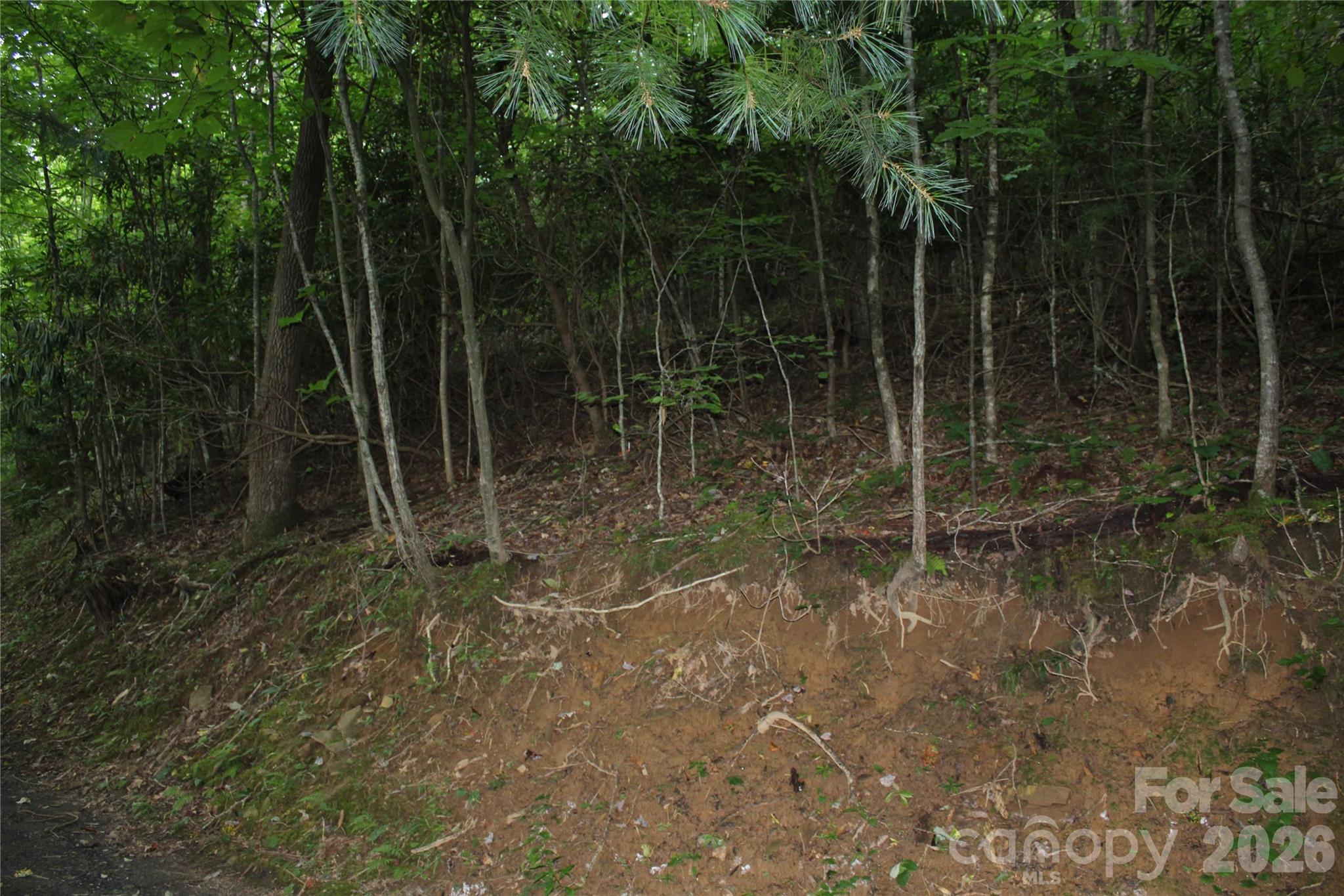 Lot at Lots 8 & 13 Laurel Hill Drive, Spruce Pine, photo 16 of 20