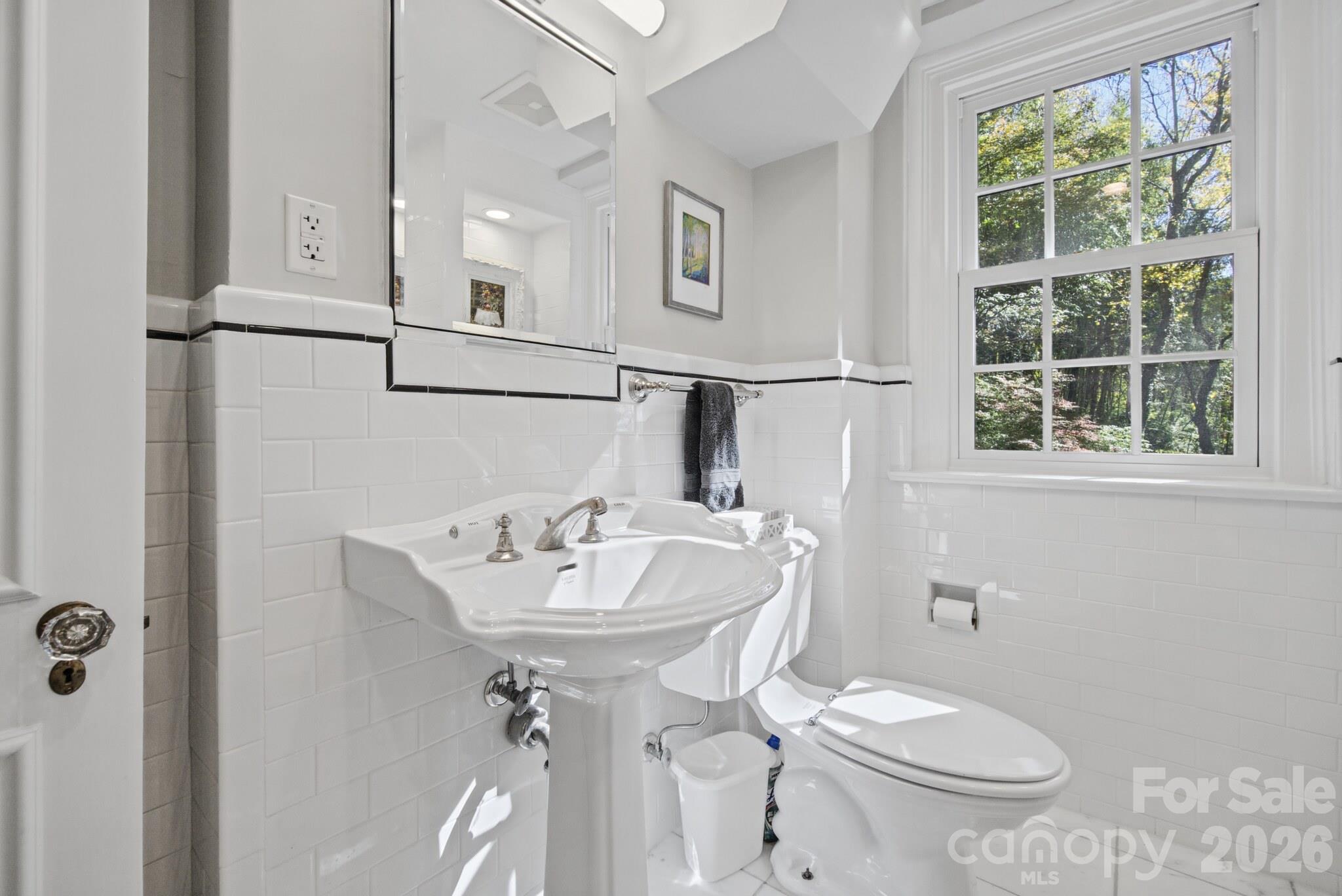 Classic Pedestal Sink - 185 Macon Avenue, Asheville