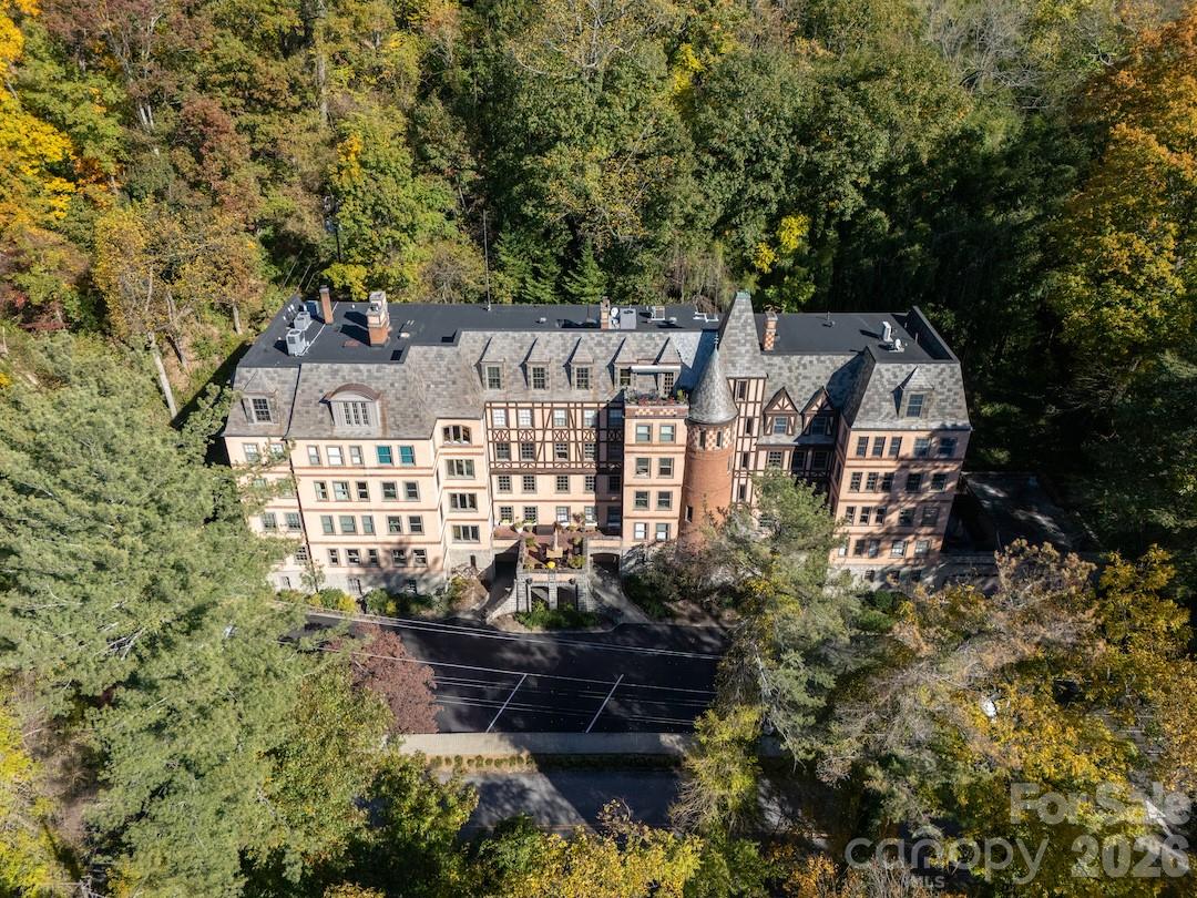 Surrounded by Mature Woods - 185 Macon Avenue, Asheville