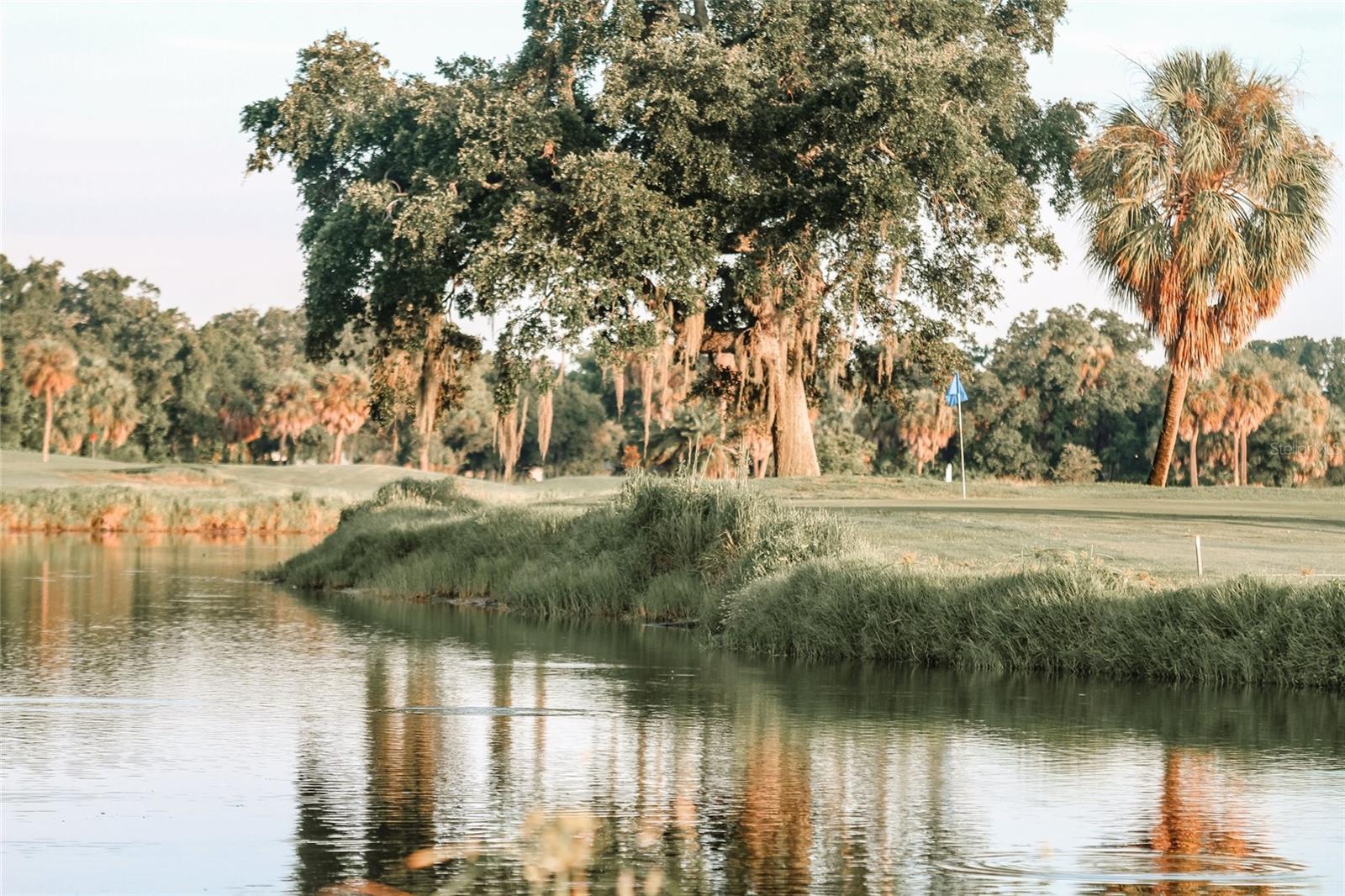 Rocky Point Golf Course - 3935 W EDEN ROC CIR, TAMPA
