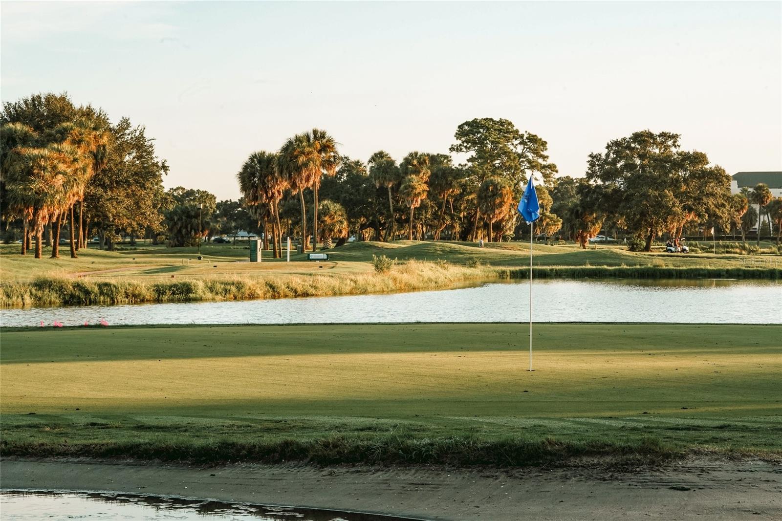 Rocky Point Golf Course - 3935 W EDEN ROC CIR, TAMPA
