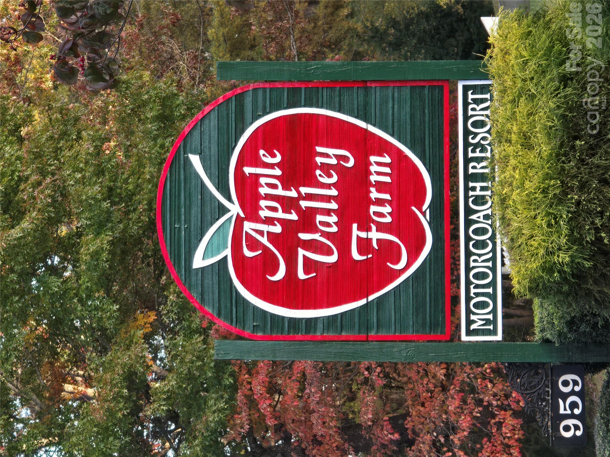 Lot at 133 Cornell Circle, Lake Lure, photo 11 of 15