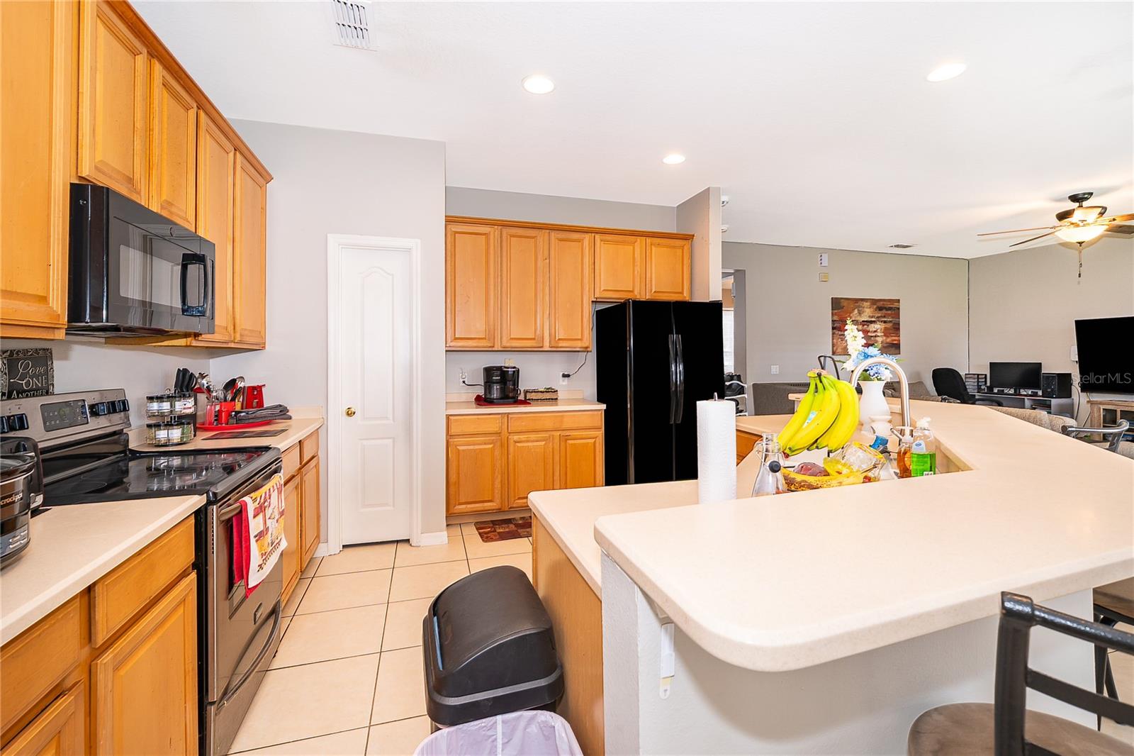 Single Family Residence at 3024 GRASMERE VIEW PKWY, KISSIMMEE, photo 12 of 30