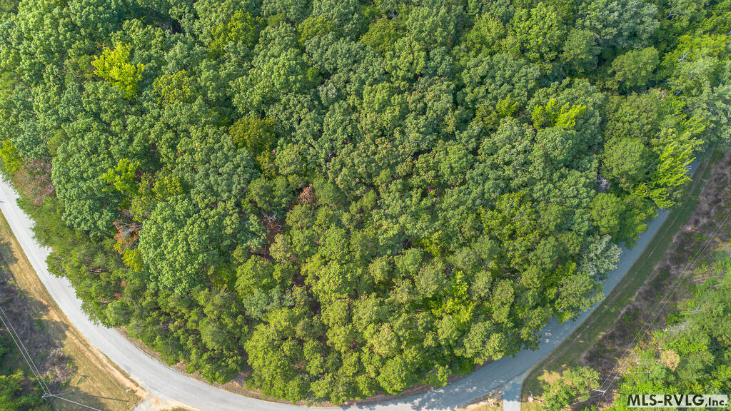 Residential Lot-Restricted at Lot 50 Large Mouth Lane, Clarksville VA 23927, photo 11 of 24