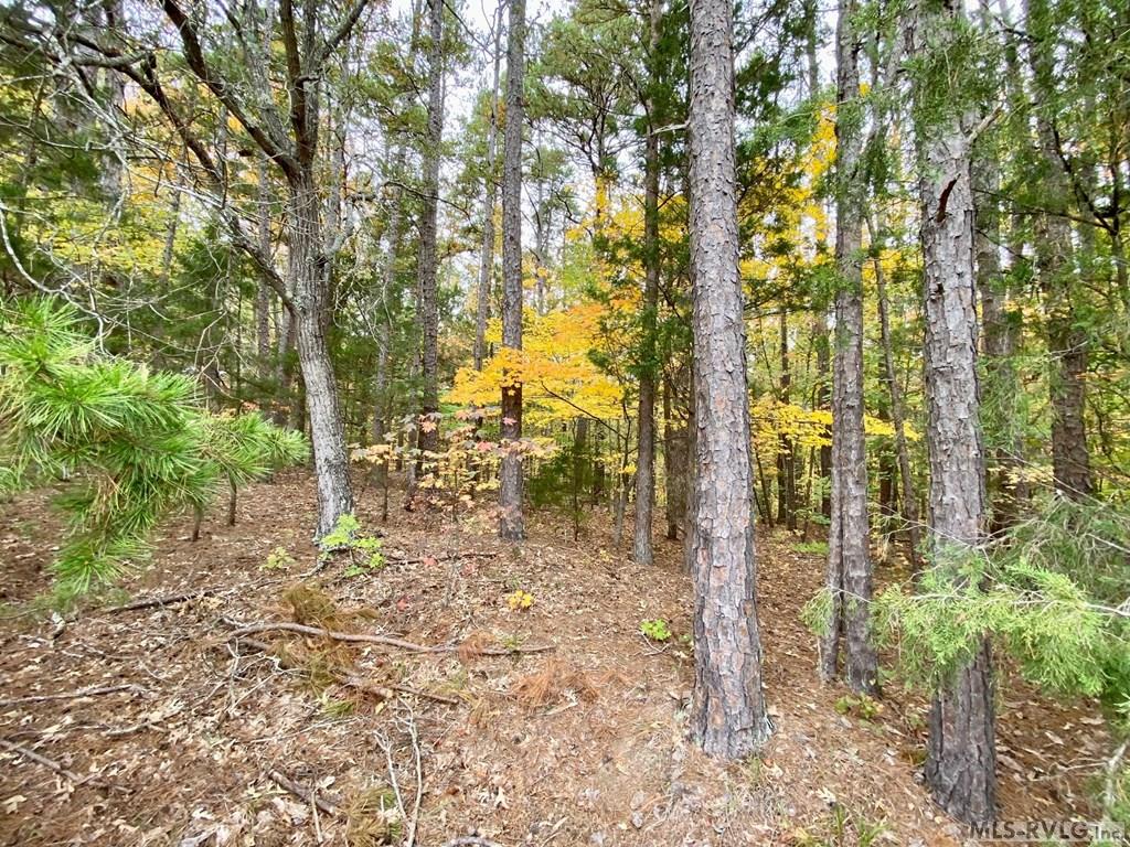 Residential Lot-Restricted at Lot 50 Large Mouth Lane, Clarksville VA 23927, photo 12 of 24