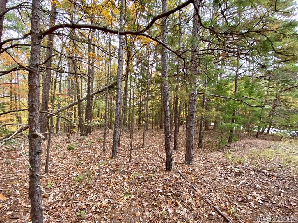Residential Lot-Restricted at Lot 50 Large Mouth Lane, Clarksville VA 23927, photo 13 of 24