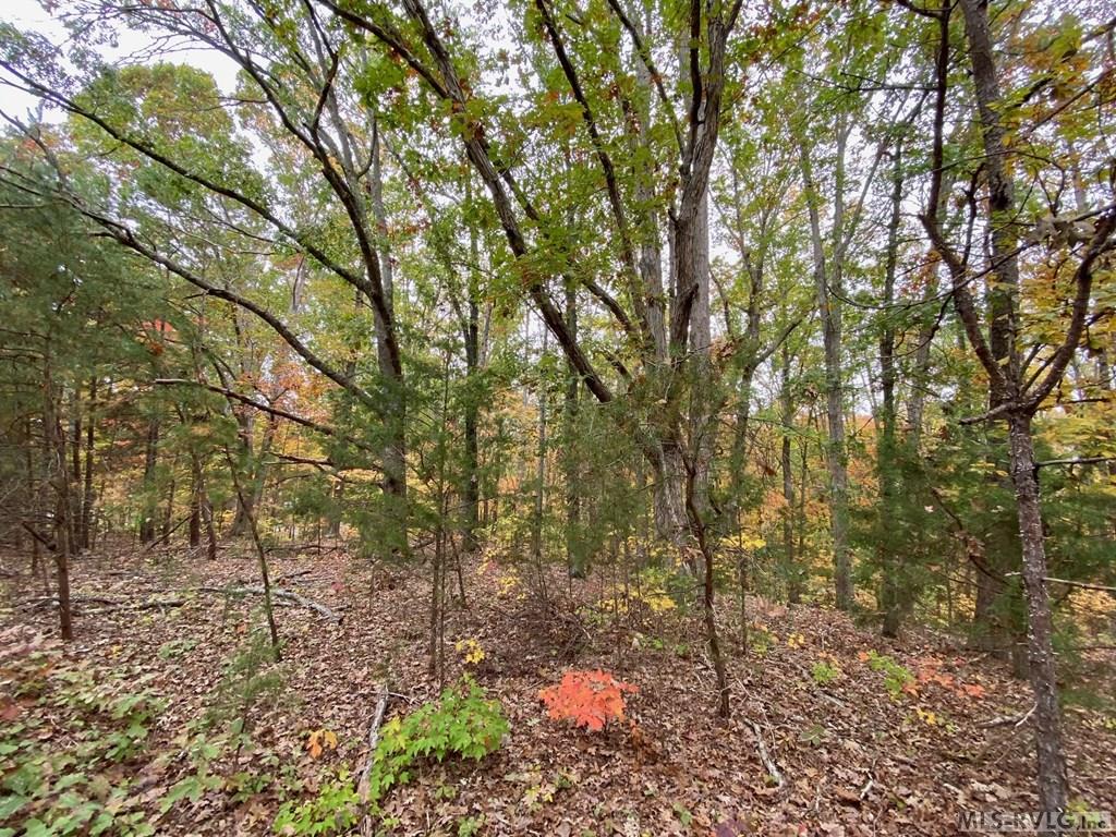 Residential Lot-Restricted at Lot 50 Large Mouth Lane, Clarksville VA 23927, photo 14 of 24