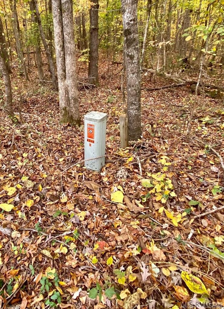 Residential Lot-Restricted at Lot 50 Large Mouth Lane, Clarksville VA 23927, photo 15 of 24