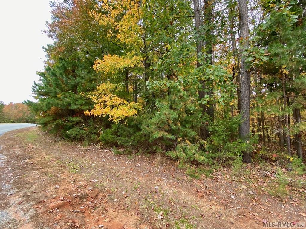 The Road Frontage - Lot 50 Large Mouth Lane, Clarksville VA 23927