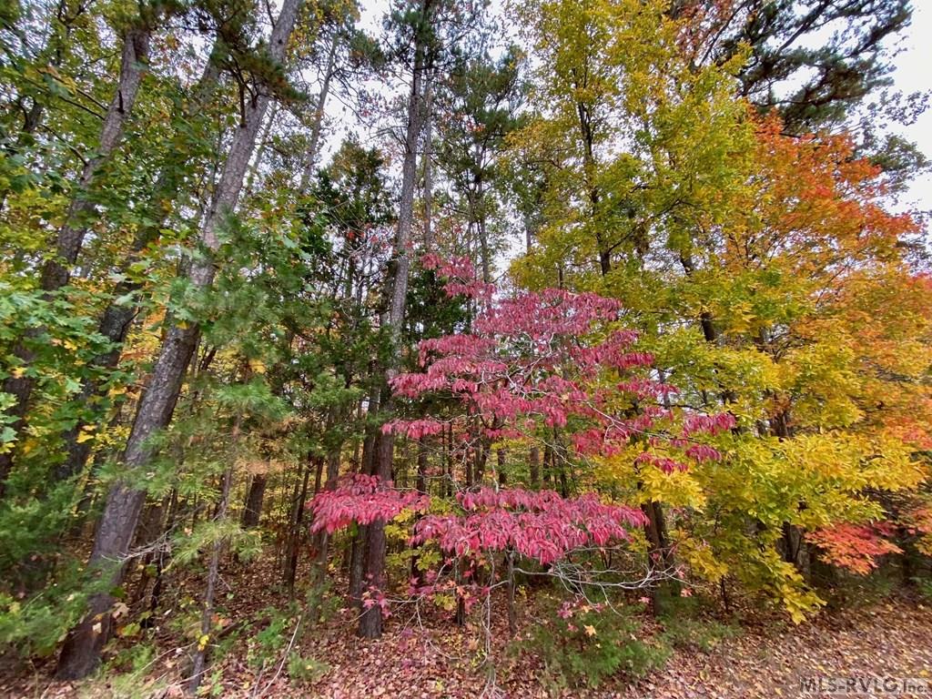 Residential Lot-Restricted at Lot 50 Large Mouth Lane, Clarksville VA 23927, photo 6 of 24