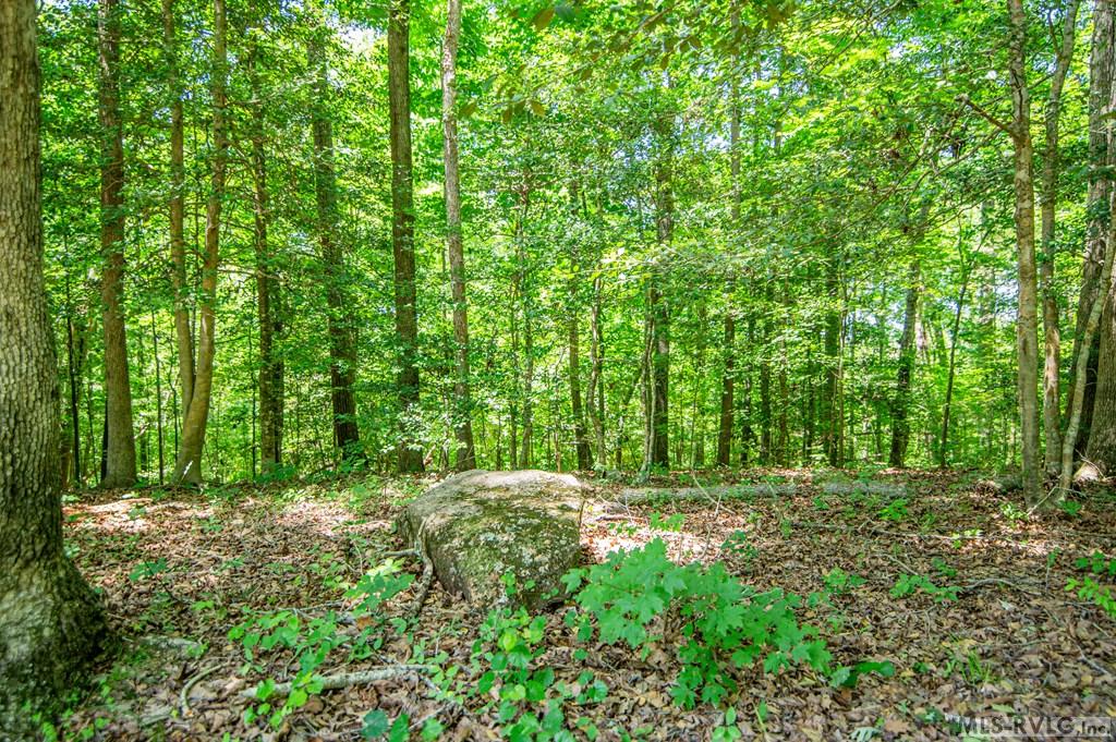 Acreage at 18858 Justice Branch Road, Littleton NC 27850, photo 10 of 67