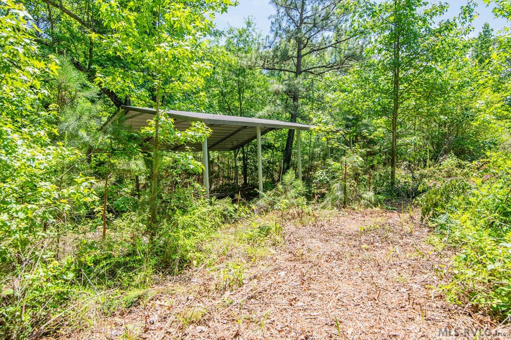 Acreage at 18858 Justice Branch Road, Littleton NC 27850, photo 13 of 67