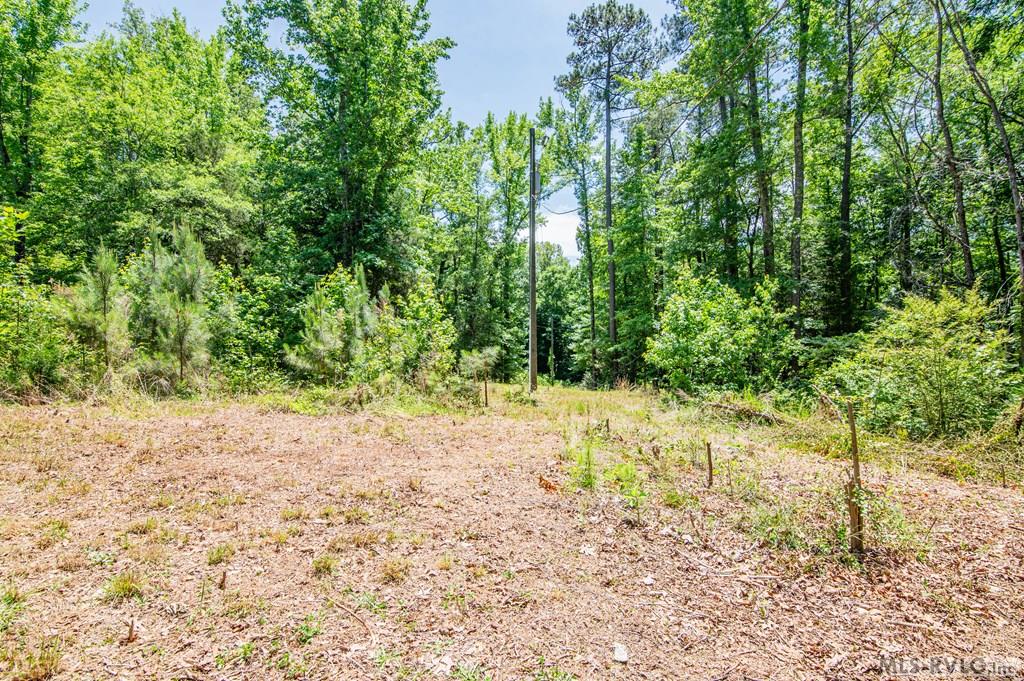 Acreage at 18858 Justice Branch Road, Littleton NC 27850, photo 14 of 67