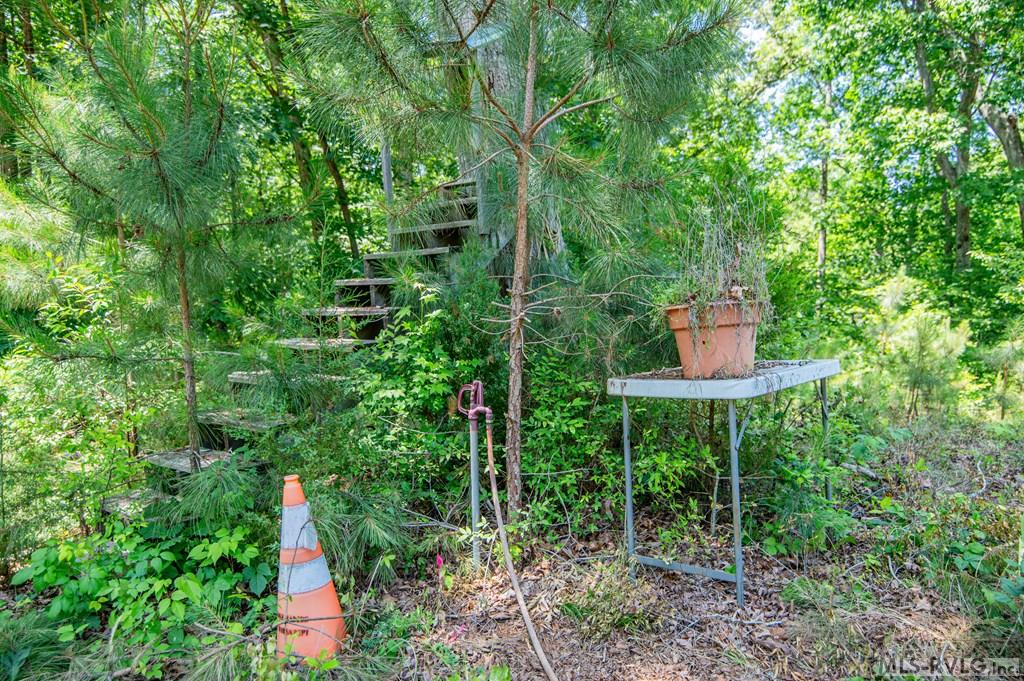 Acreage at 18858 Justice Branch Road, Littleton NC 27850, photo 17 of 67