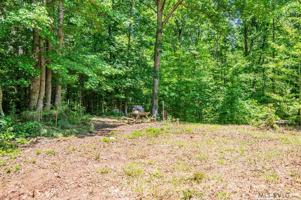Acreage at 18858 Justice Branch Road, Littleton NC 27850, photo 22 of 67
