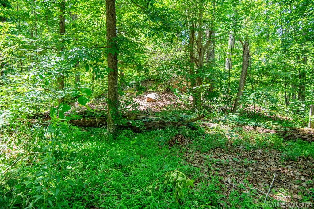Acreage at 18858 Justice Branch Road, Littleton NC 27850, photo 26 of 67