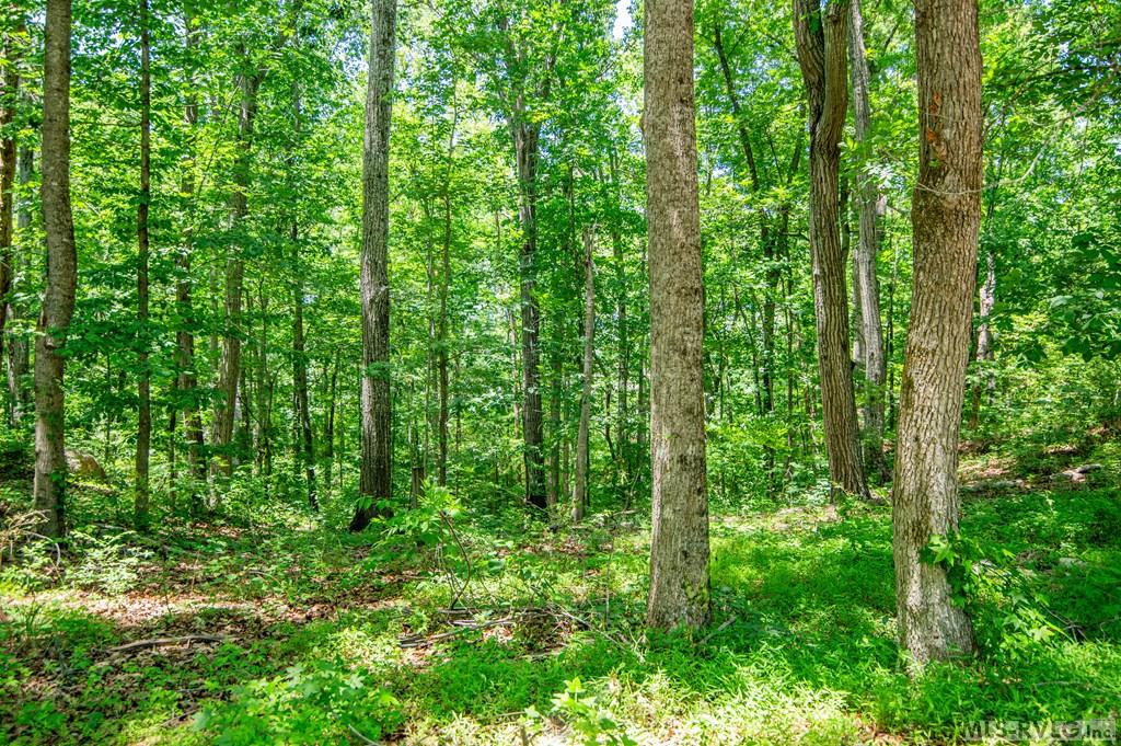 Acreage at 18858 Justice Branch Road, Littleton NC 27850, photo 27 of 67