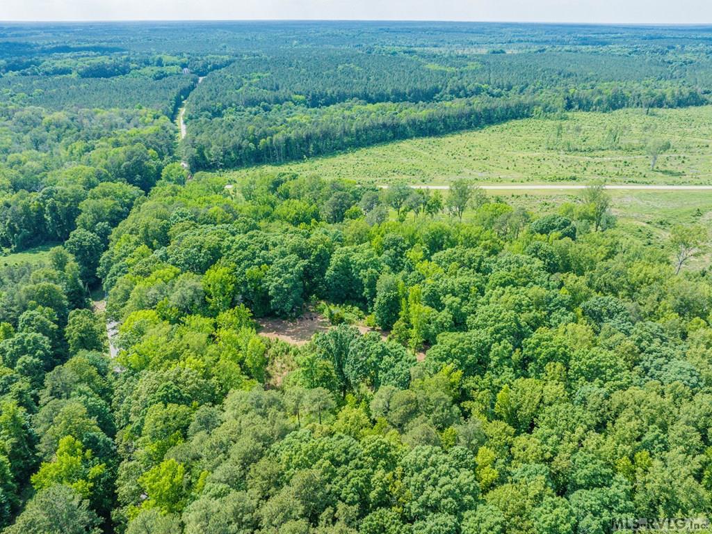 Acreage at 18858 Justice Branch Road, Littleton NC 27850, photo 45 of 67