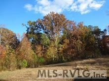 Acreage at 18858 Justice Branch Road, Littleton NC 27850, photo 65 of 67