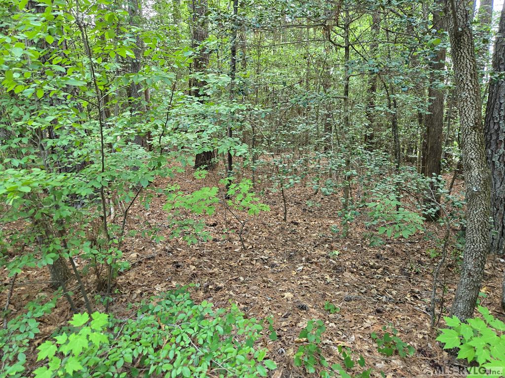 Residential Lot-Restricted at tbd Great Creek Drive, Bracey VA 23919, photo 2 of 3