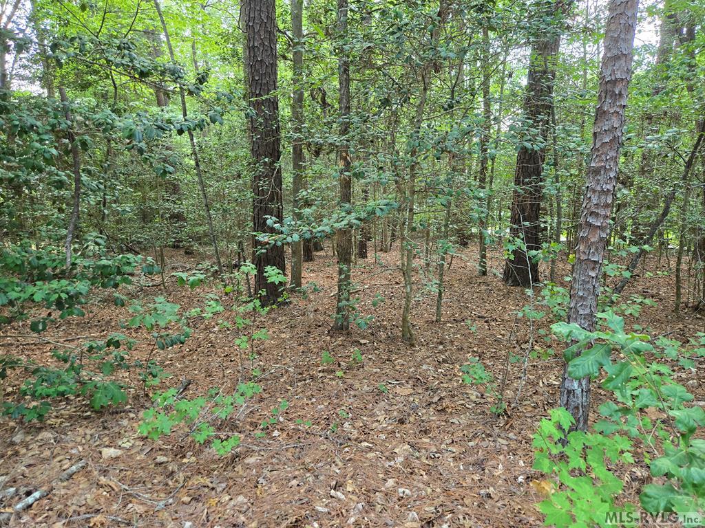 Residential Lot-Restricted at tbd Great Creek Drive, Bracey VA 23919, photo 3 of 3
