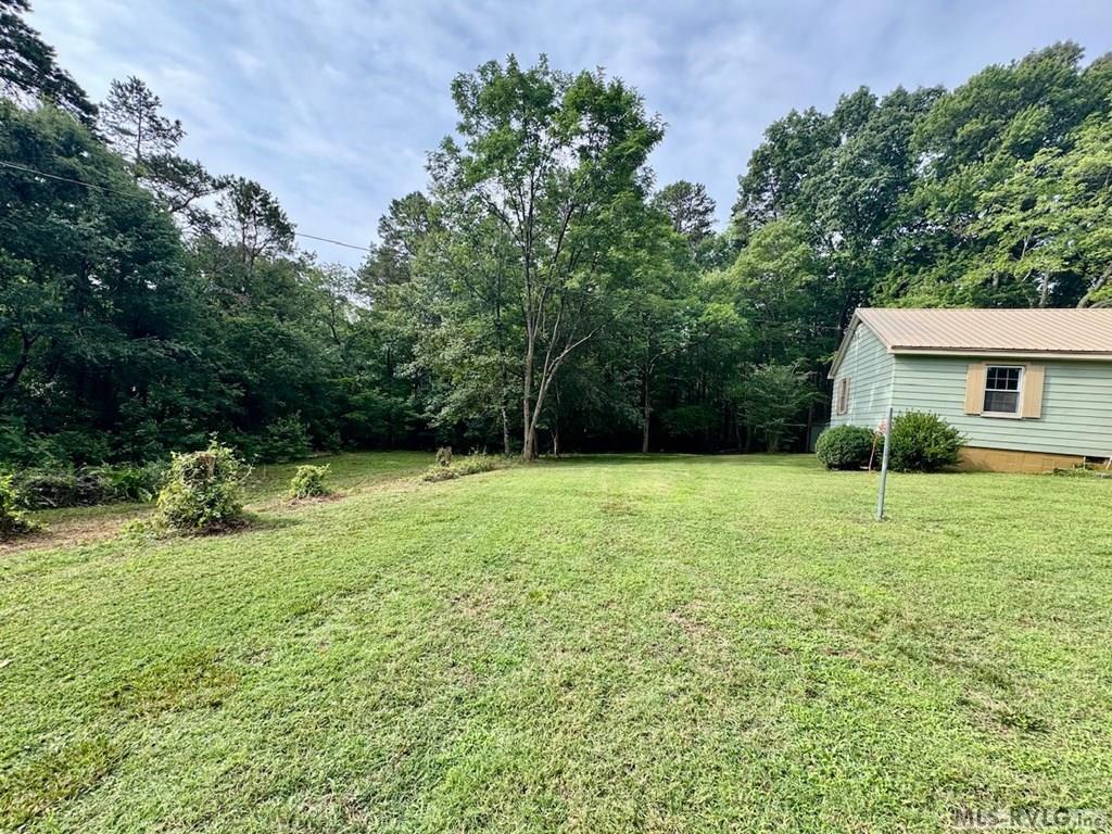 284-side yard - 284 Evergreen Road, Clarksville VA 23927