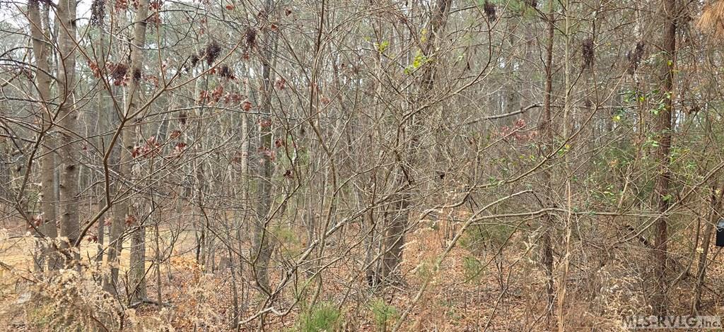Lot Entry - Lot 90 Roanoke Trail, Henrico NC 27842
