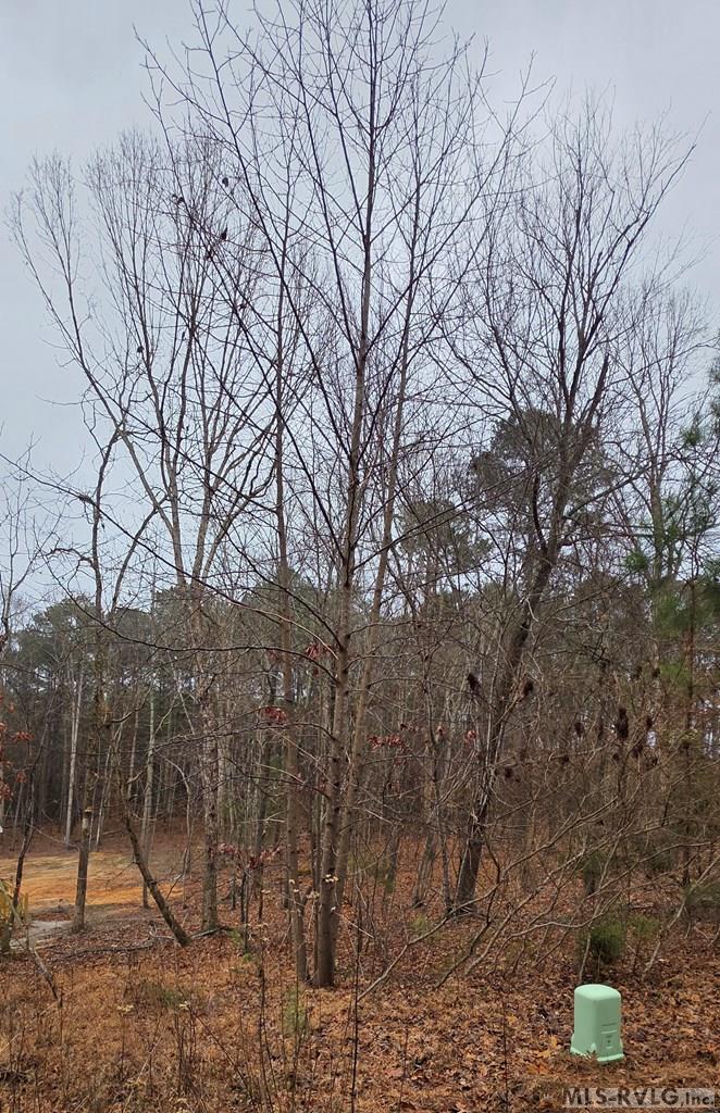Lot entry - Lot 90 Roanoke Trail, Henrico NC 27842