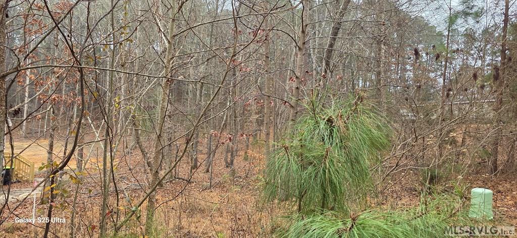 Lot showing drainage elevation - Lot 90 Roanoke Trail, Henrico NC 27842