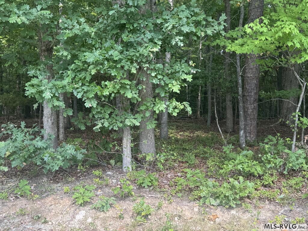 Other-See Remarks at Lots1B-D Mill Creek Road, Clarksville VA 23927, photo 11 of 21