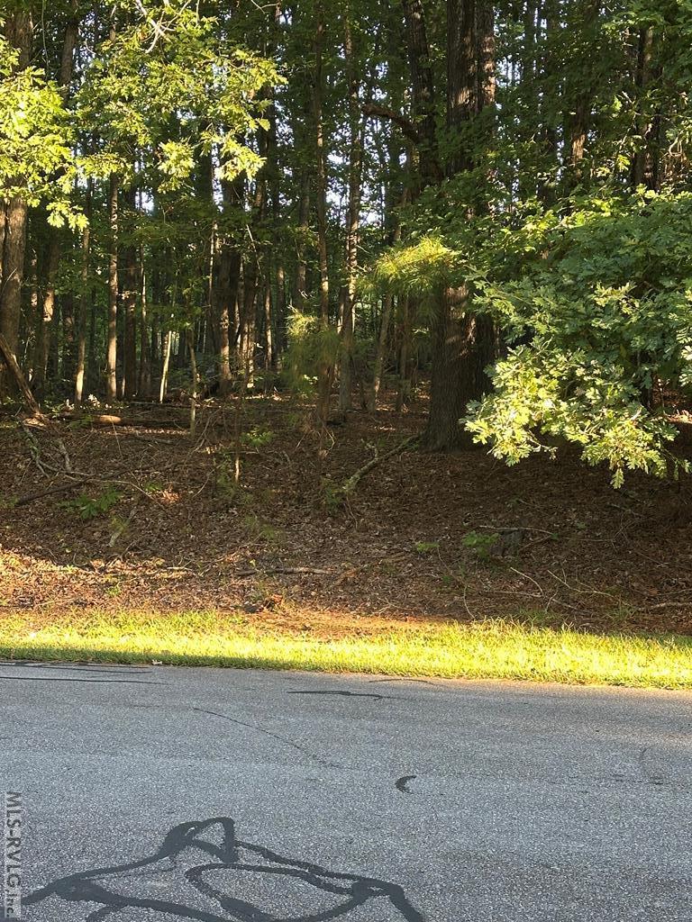 Residential Lot-Restricted at Lot 10 Waterside Dr, Henrico NC 27842, photo 3 of 3