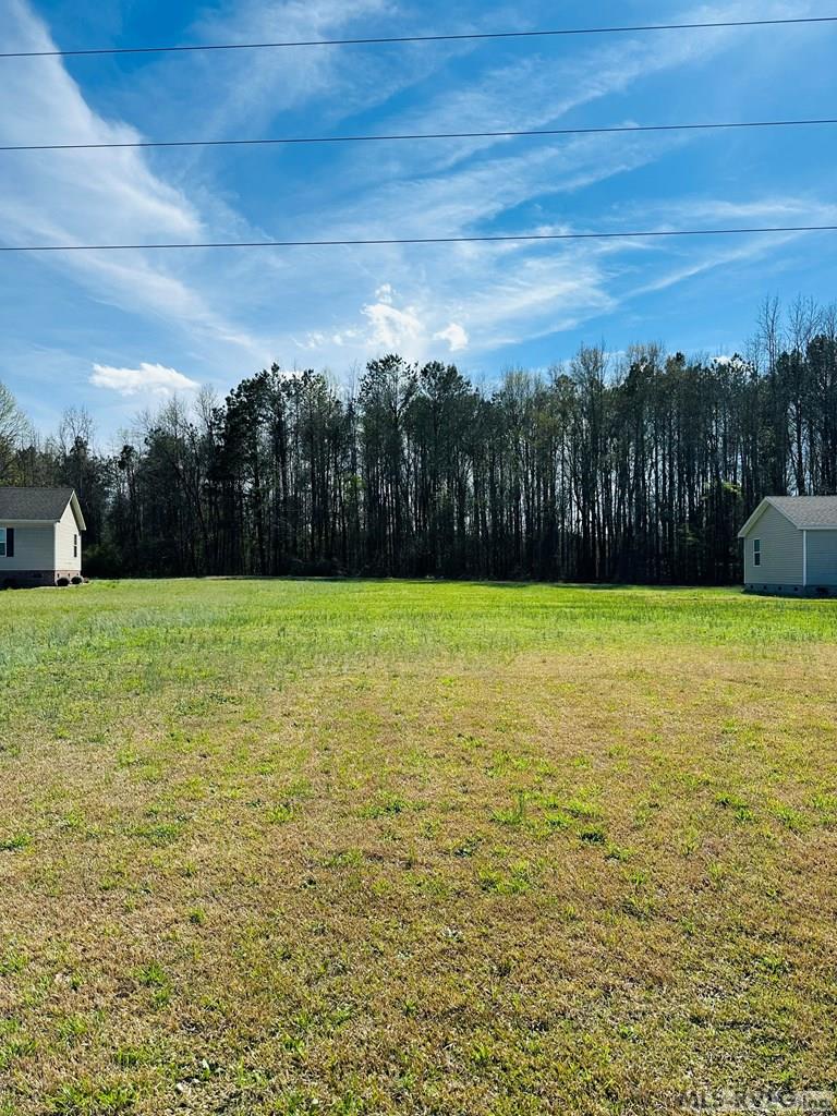 Residential Lot-Restricted at 127 Pinewood Dr, Ahoskie NC 27910, photo 3 of 5