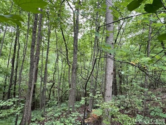 Residential/Vacation at 179 S Sunset Dr, Littleton NC 27850, photo 10 of 35