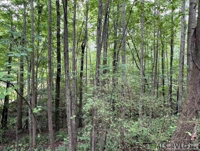 Residential/Vacation at 179 S Sunset Dr, Littleton NC 27850, photo 11 of 35