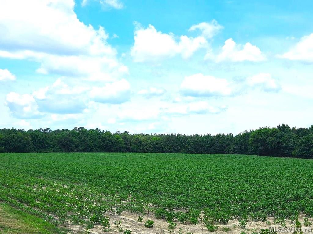 Acreage at 00 Highway 125, Roanoke Rapids NC 27870, photo 5 of 5