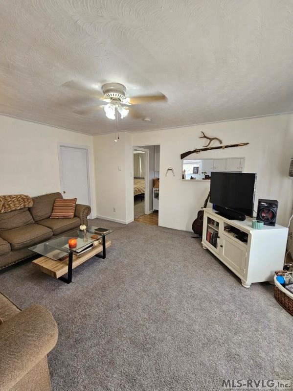 Residential/Vacation at 2077, 91 W 10th St, Roanoke Rapids NC 27870, photo 5 of 27