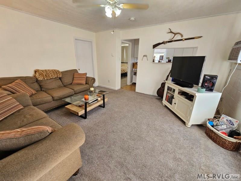 Residential/Vacation at 2077, 91 W 10th St, Roanoke Rapids NC 27870, photo 6 of 27