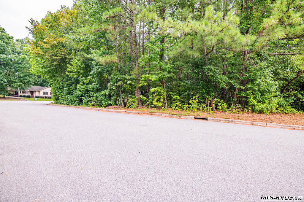 Residential Lot-Restricted at Lot #24 Ashberry Ct, Roanoke Rapids NC 27870, photo 2 of 9