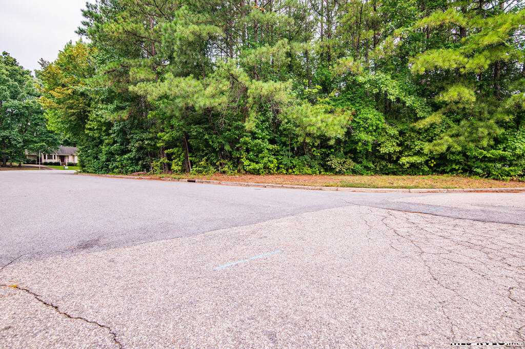 Residential Lot-Restricted at Lot #24 Ashberry Ct, Roanoke Rapids NC 27870, photo 4 of 9