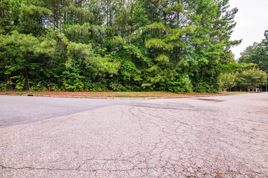 Residential Lot-Restricted at Lot #24 Ashberry Ct, Roanoke Rapids NC 27870, photo 5 of 9