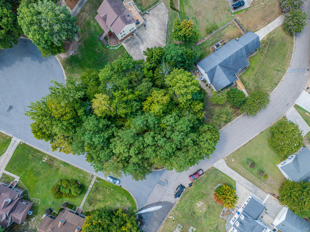 Residential Lot-Restricted at Lot #24 Ashberry Ct, Roanoke Rapids NC 27870, photo 9 of 9