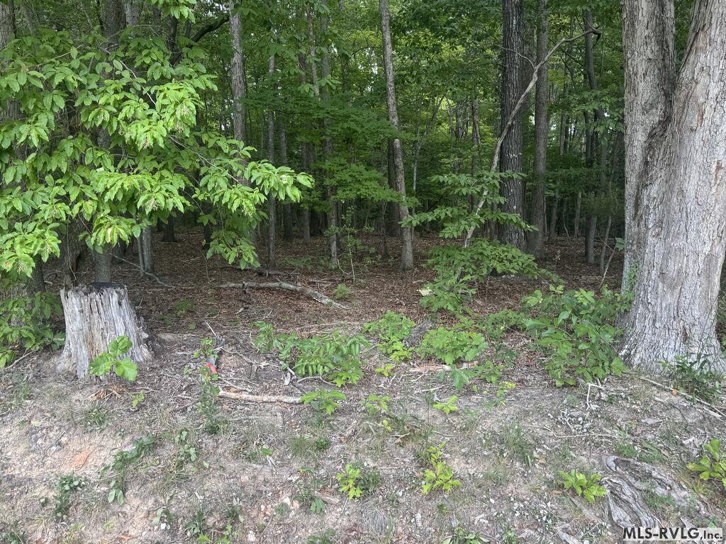 Other-See Remarks at Lot 1C Mill Creek Road, Clarksville VA 23927, photo 13 of 21