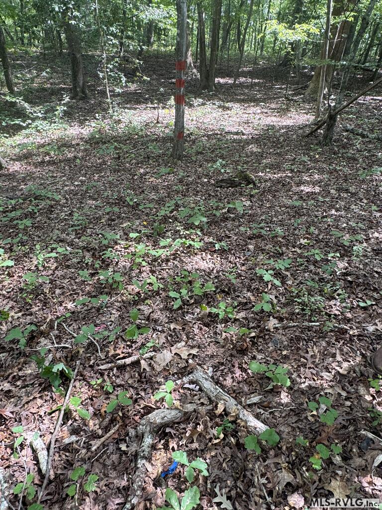 Other-See Remarks at Lot 1C Mill Creek Road, Clarksville VA 23927, photo 17 of 21