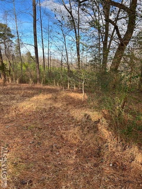 Residential/Vacation at 19610 Christanna Hwy, Lawrenceville VA 23868, photo 42 of 46